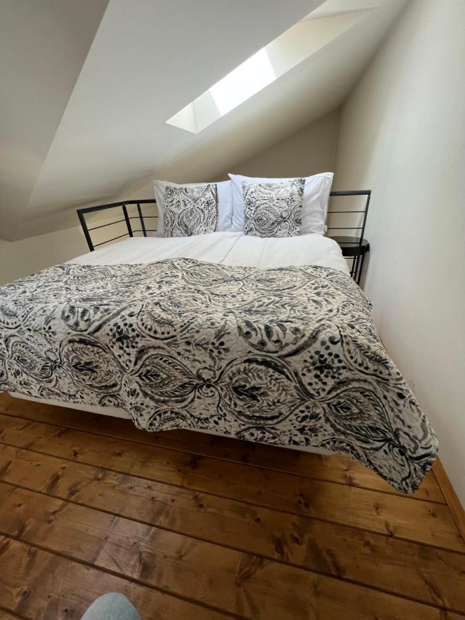 Ce Apartment Prague Castle エクステリア 写真